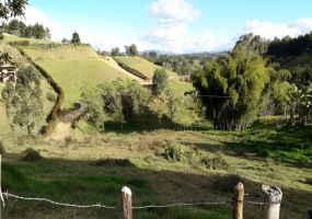 San Vicente, ,Lotes,VENTA,San Vicente ,1114