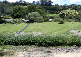 EL CARMEN DE VIBORAL QUIRAMA, ,Lotes,VENTA,EL CARMEN DE VIBORAL QUIRAMA ,1276