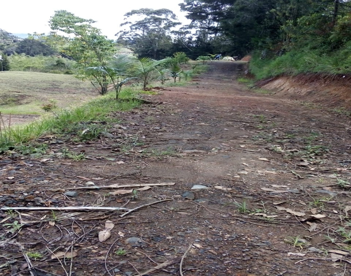 EL CARMEN DE VIBORAL QUIRAMA, ,Lotes,VENTA,EL CARMEN DE VIBORAL QUIRAMA ,1276