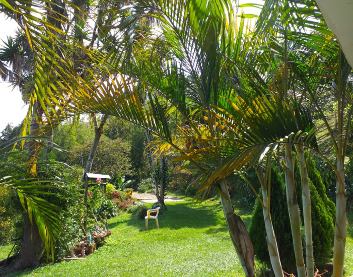 GUATAPE, 6 Habitaciones Habitaciones, ,4 BathroomsBathrooms,Finca,ARRIENDO,GUATAPE ,1279