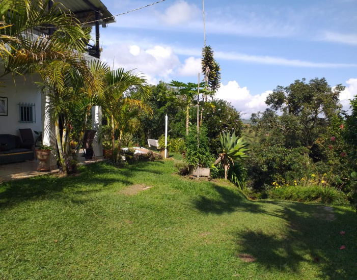 GUATAPE, 6 Habitaciones Habitaciones, ,4 BathroomsBathrooms,Finca,ARRIENDO,GUATAPE ,1279