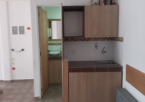CENTRO, 1 Dormitorio Habitaciones, ,1 BañoBathrooms,Local,ARRIENDO,CENTRO ,1306