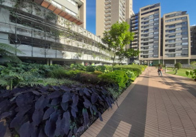 BARRO BLANCO, 3 Habitaciones Habitaciones, ,2 BathroomsBathrooms,Apartamento,VENTA,BARRO BLANCO ,0,1487