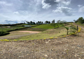 MARINILLA, ,0,Lotes,VENTA,MARINILLA ,0,1532