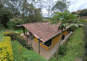 GALICIA, 3 Habitaciones Habitaciones, ,2 BathroomsBathrooms,Finca,VENTA,GALICIA ,0,1534