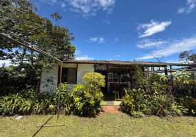 LOS PINOS, 3 Habitaciones Habitaciones, ,1 BañoBathrooms,Finca,VENTA,LOS PINOS ,0,1540