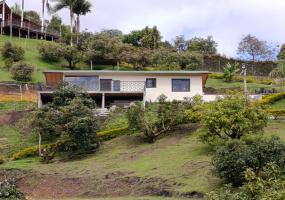 Toldas, 3 Habitaciones Habitaciones, ,2 BathroomsBathrooms,Finca,ARRIENDO,Toldas,0,1567