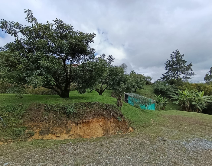 TOLDAS, 3 Habitaciones Habitaciones, ,2 BathroomsBathrooms,Finca,VENTA,TOLDAS ,0,1570