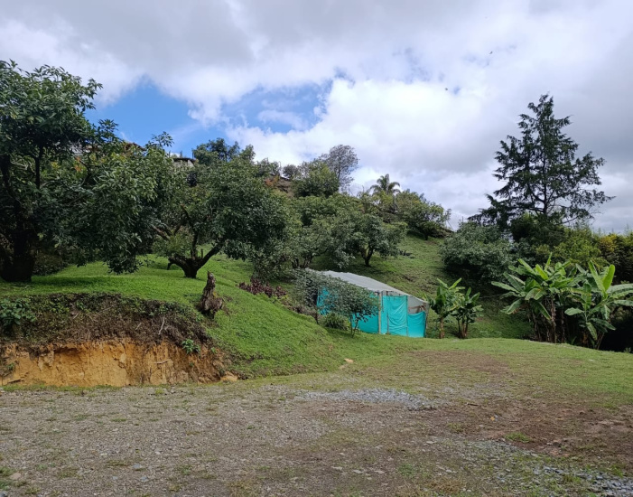 TOLDAS, 3 Habitaciones Habitaciones, ,2 BathroomsBathrooms,Finca,VENTA,TOLDAS ,0,1570