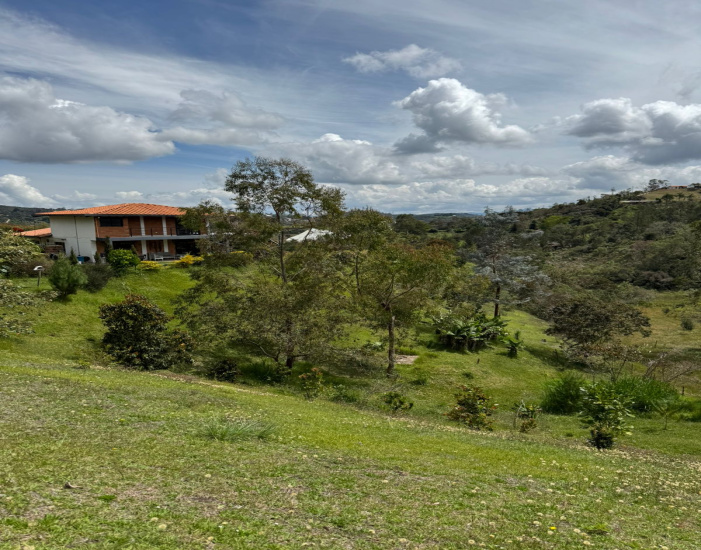SAN VICENTE, 3 Habitaciones Habitaciones, ,2 BathroomsBathrooms,Finca,VENTA,SAN VICENTE ,0,1596